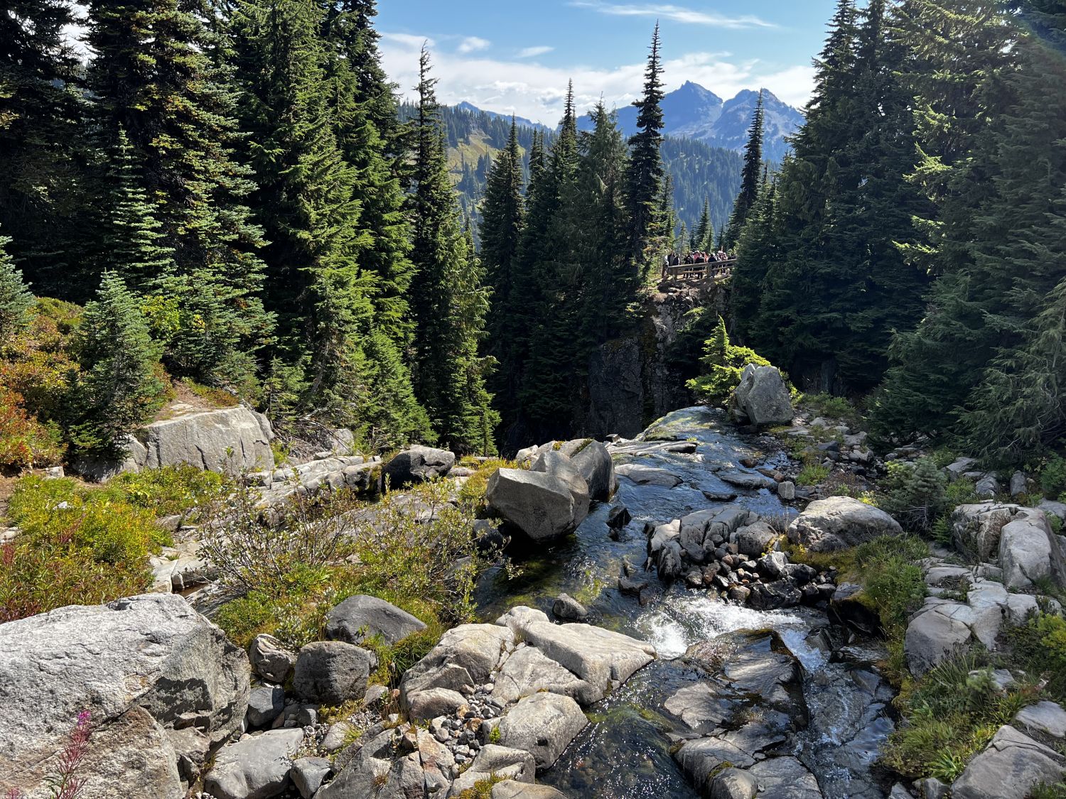 Mount Rainier NP 